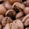 EQUATOR TRADING COFFEE