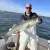 Bill Vecchio