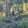 Kelsey