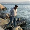 Hassan Ashraf