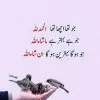 Muhammad Sajjad Hussain
