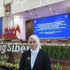 Khirsa Aini