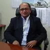 silvestre bolo