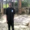 Dino majid