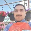 Shahid Alvi