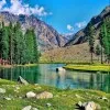 Safyan Ali