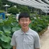 David Cho