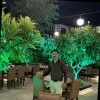 Anil Chavhan