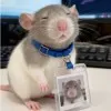 Steven