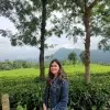 vasudha