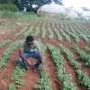 James mwangi Kuria