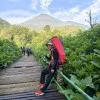 Hendrik Saputra
