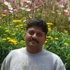 Raja Manoharan