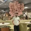 Mayank Gupta