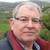 Avi Teuerstein
