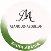 Alanoud Abdullah Alshaer