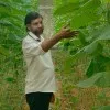 shuaib AN