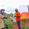 Daniel odhiambo