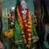 rajesh Kumar Trivedi
