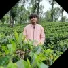 Arvind