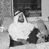 Alreem Alneyadi