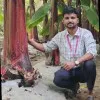 Rushikesh Dandge