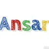 Ansar Sayyed