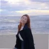 Wenjie Zhu