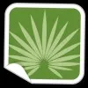 Palmera Vacation Club
