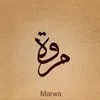 Marwa Aly