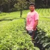 Saran Vignesh