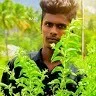 Bala Bala