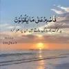 Adv iqra waheed