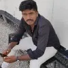 Elango