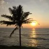 Amila Liyanage