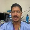 A Brent Chinchilla
