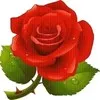 M Israr Khan