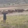 Thabani Nhlapo