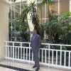Prakash Babu