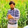 Faiz ahmad Abbas Joyia