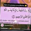Faizi Faizan