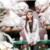 Shilpi Shiwani