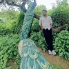 Rohit kumar Chaudhary