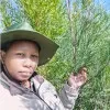 Thandiwe Mayile