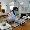 Sofiatul Hasanah