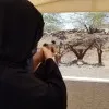 Yasmin Al Tamimi