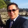 Mehrdad Shamei