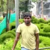 BIBIN MANOHARAN