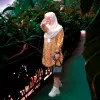 Sadia Tabasum