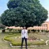 Om Kumar Singh